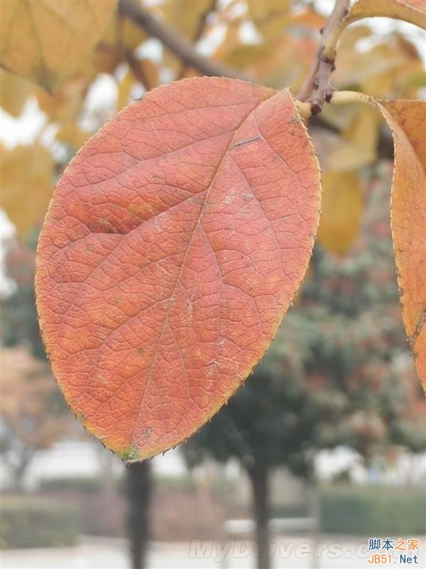 5V/5A:充电速度逆天!OPPO N3全面评测