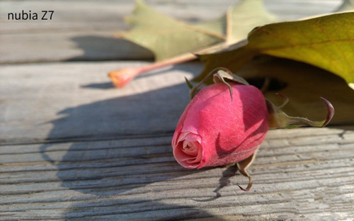 iphone6Ŭz7չĸ ΢ŶԱ