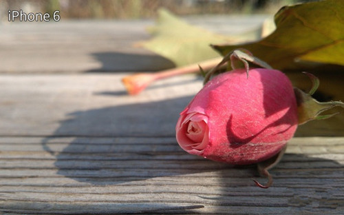 iphone6Ŭz7չĸ ΢ŶԱ