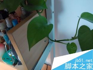 Phone:˭Լ֮? K3ԱȺ 