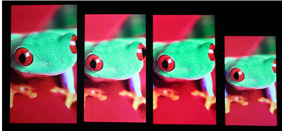 自右向左 一加,锤子,小米4,iPhone 5c