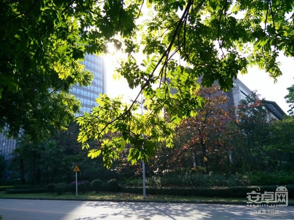 vivo X5Max ,鶯 HI-FI