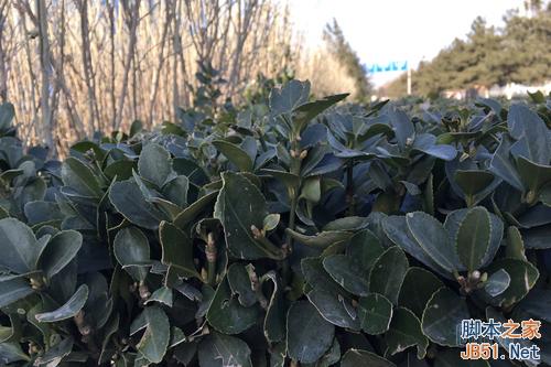 QQͼƬ20141223181216