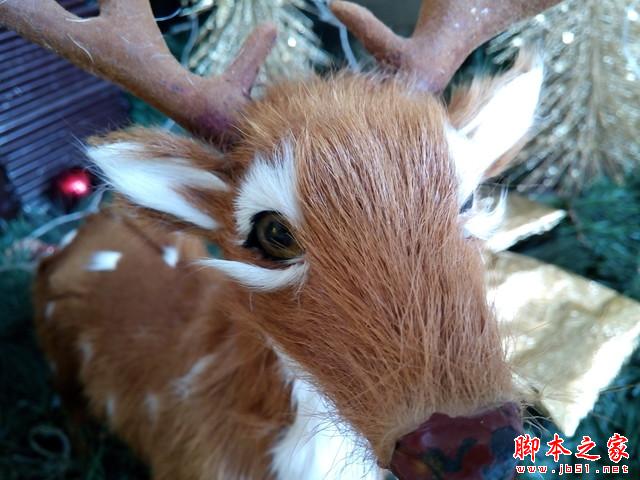 ǧԪ64λ˺4G TCLôô3Nȫ 