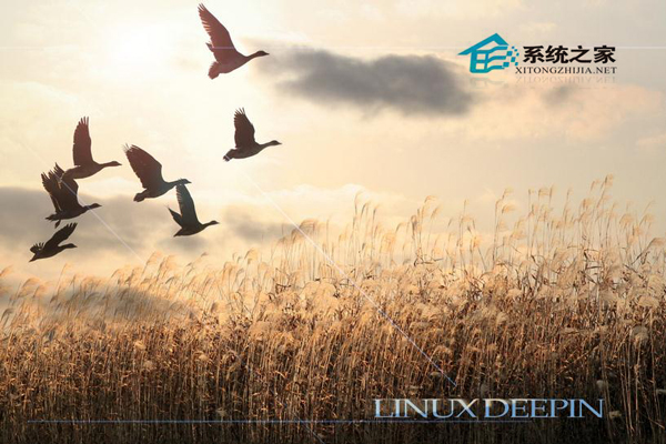 在Linux系统下查找可移植可执行文件的方法_L