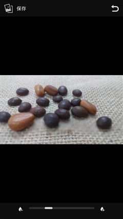 智能桌面更省事 全新华硕飞马手机评测