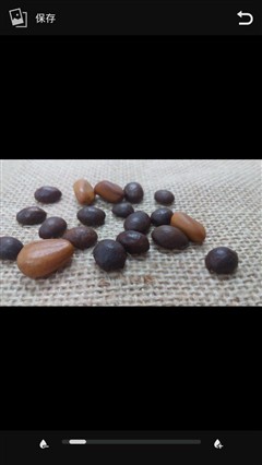 智能桌面更省事 全新华硕飞马手机评测