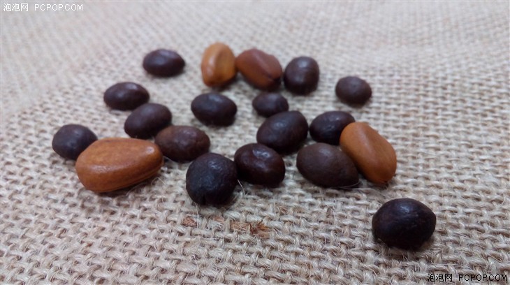 智能桌面更省事 全新华硕飞马手机评测