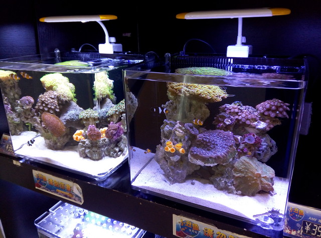 玻璃恋上金属 年度旗舰大神X7评测首发(下午3点发)