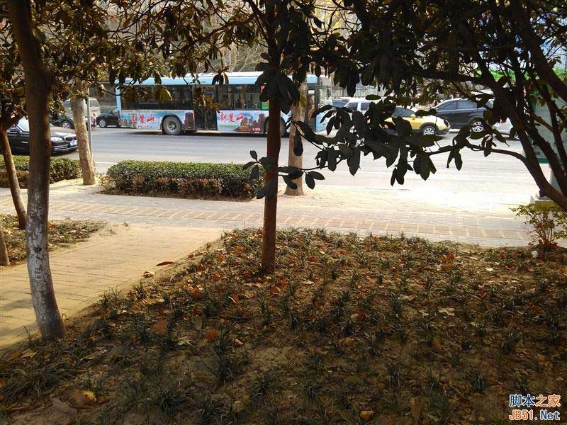 ָа/˫˫4G 699Ԫ2ȫ