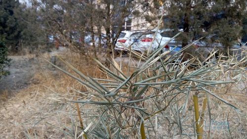 QQͼƬ20150114094744