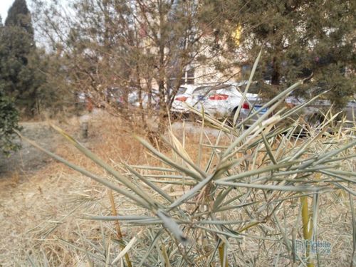 QQͼƬ20150114094603