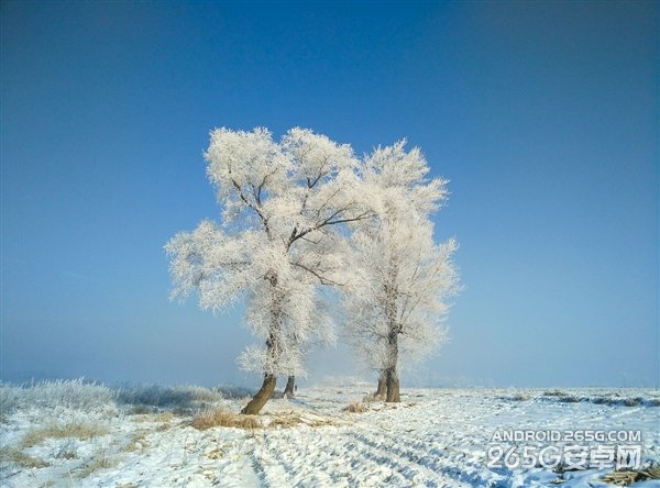 СNoteղiPhone 6 ѷ5s?