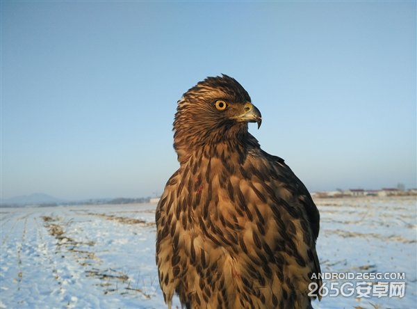 СNoteղiPhone 6 ѷ5s?