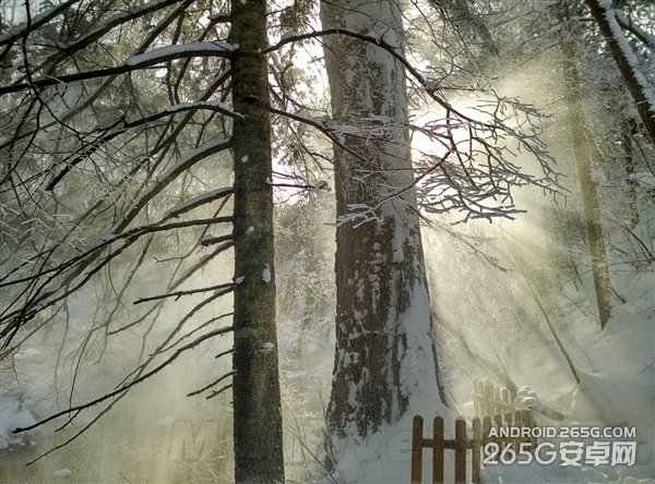 СNoteղiPhone 6 ѷ5s?