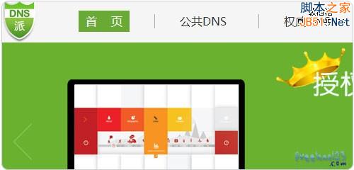 DNS����ѷ���