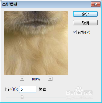 ps如何让背景模糊？ps照片背景虚化教程