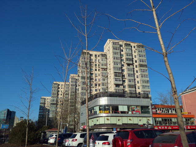 玻璃"碰"玻璃 锤子T1/小米Note对比评测