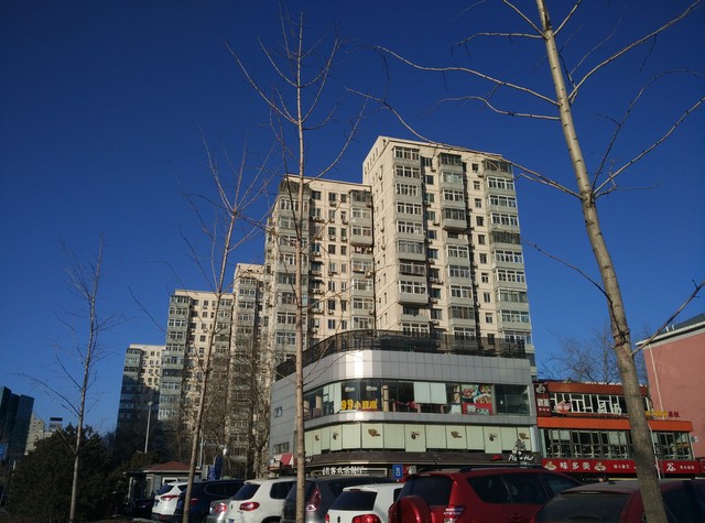 玻璃"碰"玻璃 锤子T1/小米Note对比评测