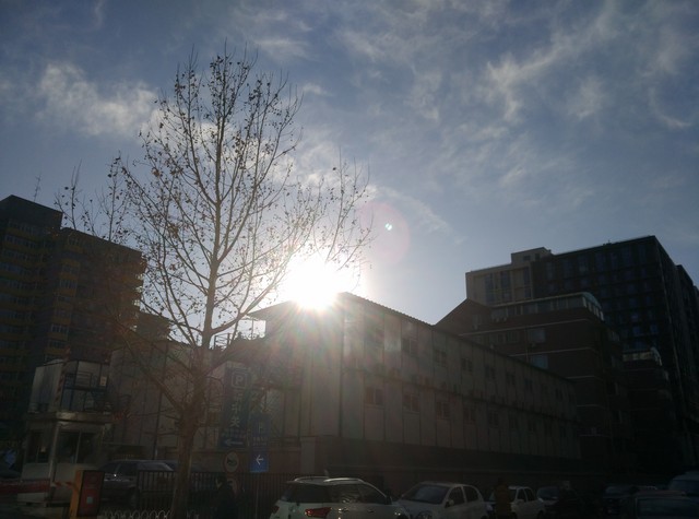 玻璃"碰"玻璃 锤子T1/小米Note对比评测