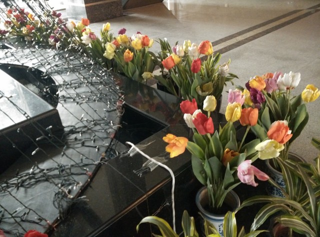 Phone:Լ۱ TCLôô3NС4 