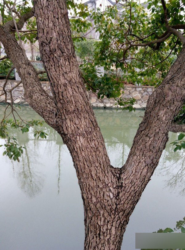 ÷ÈÀ¶NoteÉî¶ÈÆÀ²âÊÓÆµ