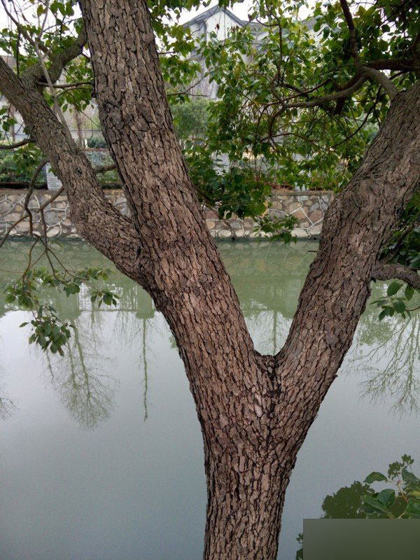 ÷ÈÀ¶NoteÉî¶ÈÆÀ²âÊÓÆµ