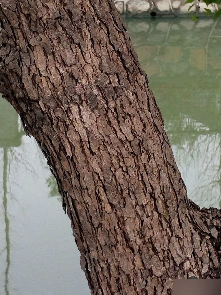 ÷ÈÀ¶NoteÉî¶ÈÆÀ²âÊÓÆµ