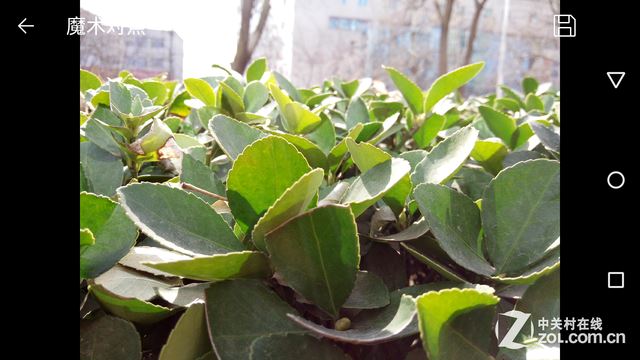 超级大深坑千万别发布