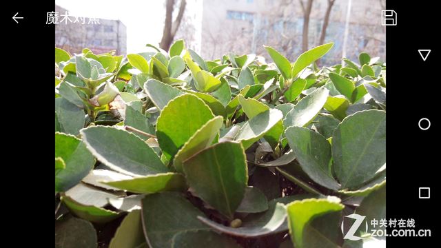 超级大深坑千万别发布