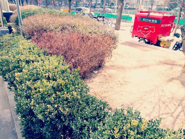 超级大深坑千万别发布