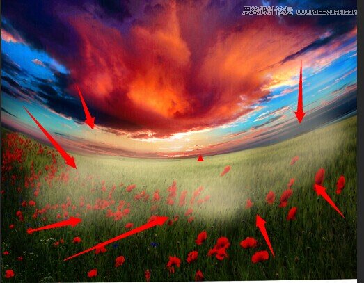 Photoshopϳõ廨԰бܵŮ,PS̳