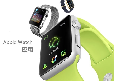ʮ֧Apple WatchApp