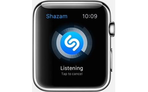 ʮ֧Apple WatchApp