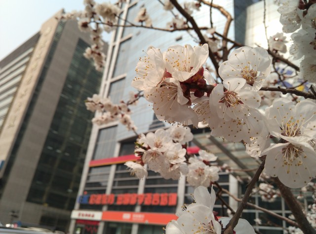 64位骁龙芯 红米Note移动4G双卡版评测