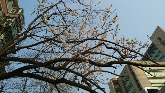 ֻӰǿ! nubia Z9 Maxײ 