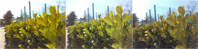 红米2/魅蓝/大神F1极速版:699元如何选?