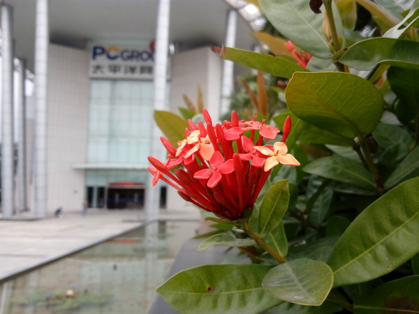 乐檬K3 Note标准版 乐檬K3 Note标准版