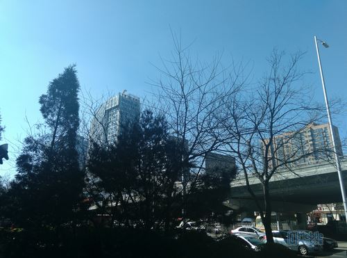 iuni i1样张-2 iuni i1样张-2