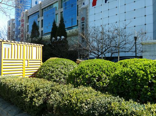 iuni i1样张-4 iuni i1样张-4