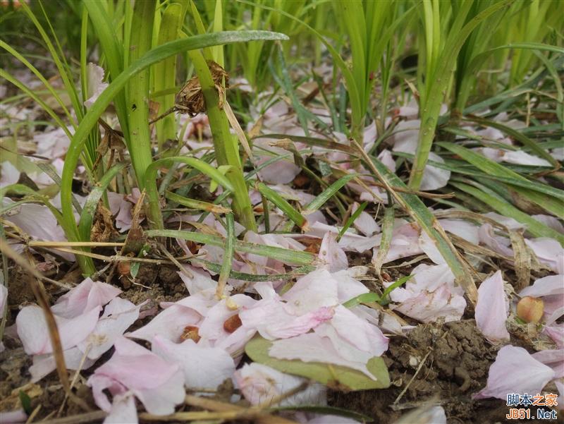 美颜效果到底如何?美图手机M4评测