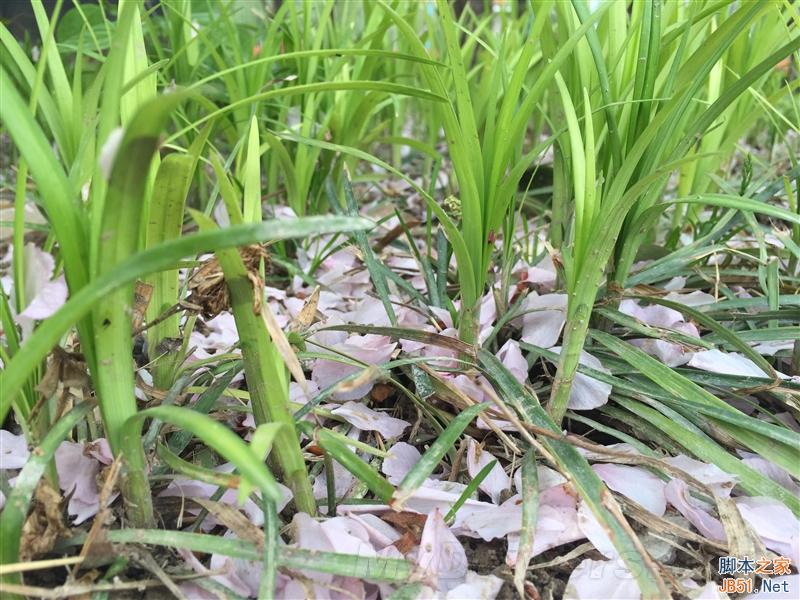 美颜效果到底如何?美图手机M4评测