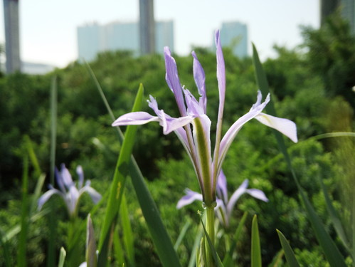 美图M4手机评测:小众另类 自拍一级棒