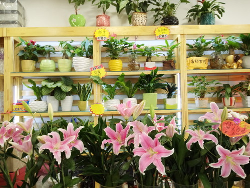 美图M4手机评测:小众另类 自拍一级棒