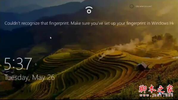 Windows 10ָʶʾ