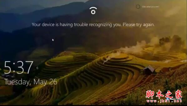 Windows 10ָʶʾ