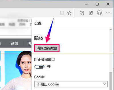 win10浏览器Microsoft Edge设置