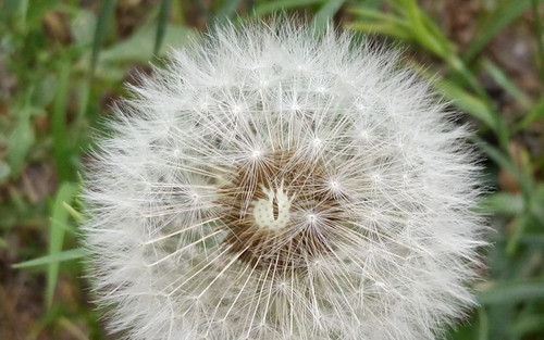 全局闪拍/PI2.0+原画 OPPO R7拍照体验