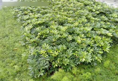 拍照:画质有待加强