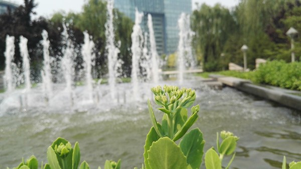 华为P8max评测:不仅仅是大一圈儿的P8第33张图 华为P8max评测:不仅仅是大一圈儿的P8第33张图